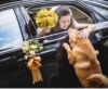 Ezért ne bízz a kutyádra az esküvői feladatokat – vicces videó