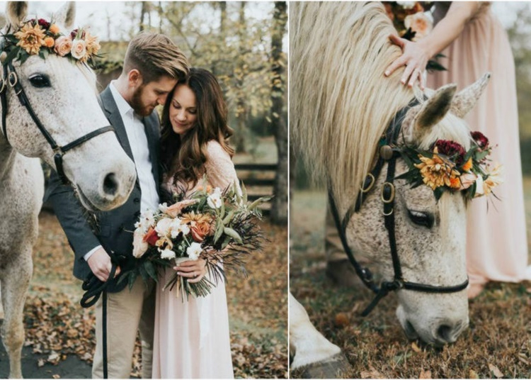 Minden vágyad egy lenyűgöző lovas esküvő?