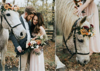 Minden vágyad egy lenyűgöző lovas esküvő?