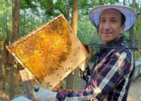 Méhméreg, a természetes botox?