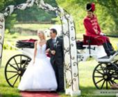 Esk&uuml;vői ny&iacute;ltnap a L&aacute;z&aacute;r Lovasparkban, 2018. november 18.