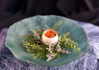 CulinArt - Party Service